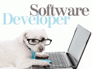 Yazılım Geliştiricisi (Software Developer)